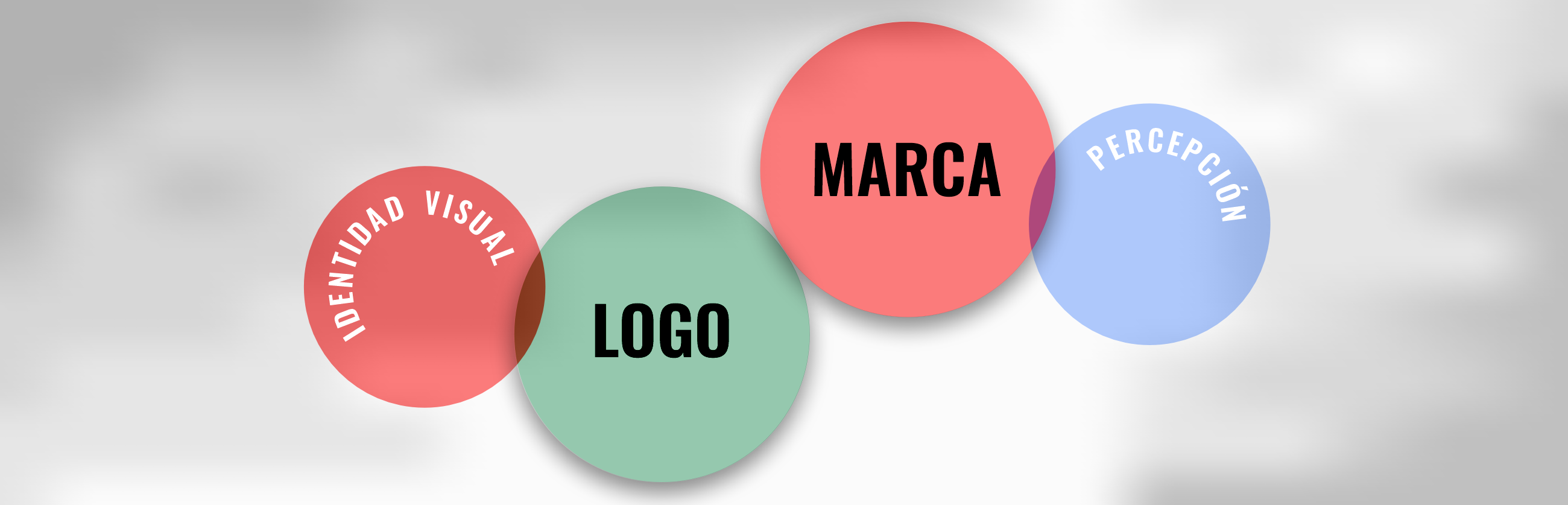 Marca y Logotipo
